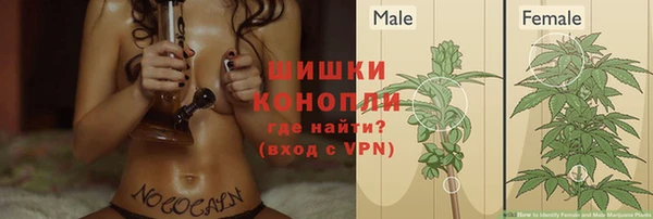 каннабис Алзамай