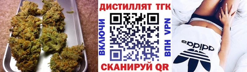 Купить закладки  Петровск  Дистиллят ТГК концентрат 