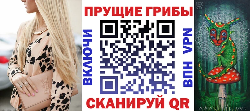 Купить где  Петровск  Псилоцибиновые грибы мицелий 
